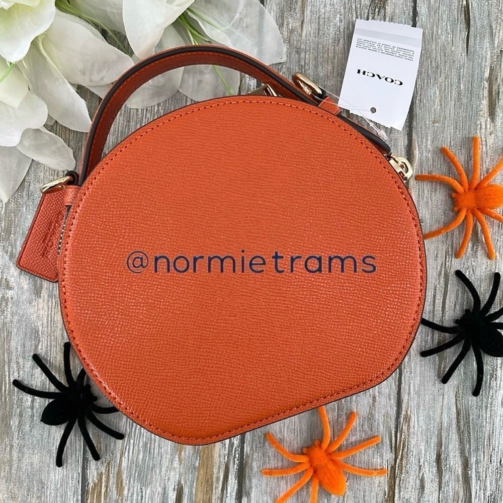 Canteen Crossbody Bag With Halloween Pumpkin Jack-o’-lantern Print Purse - Picture 3 of 8